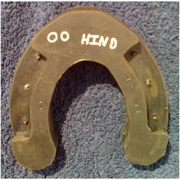 Size 00 Hind