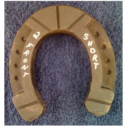 Size 2 Front Short