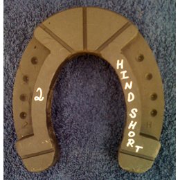 Size 2 Hind Short