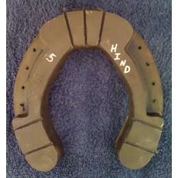 Size 5 Hind