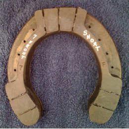 Size 7 Front Short