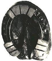 Smooth Walker rubber horseshoe