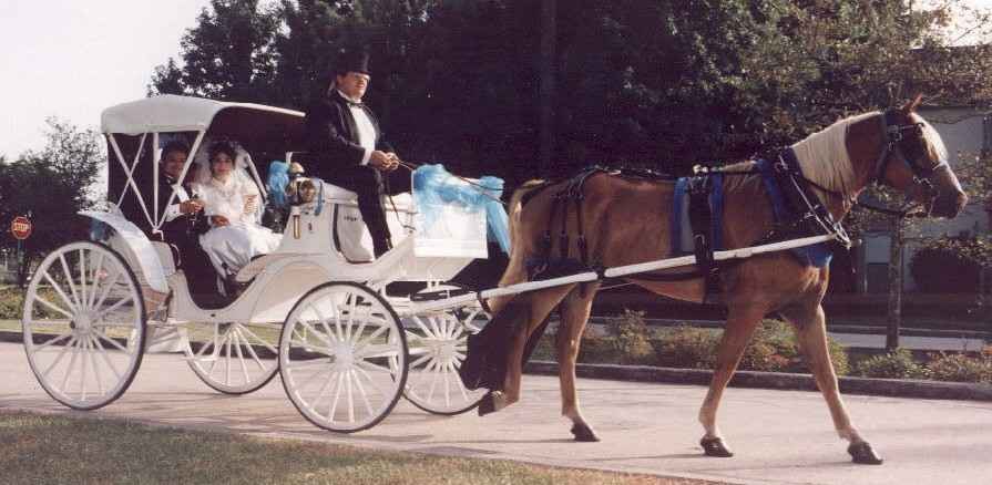 Horse drawn carriage